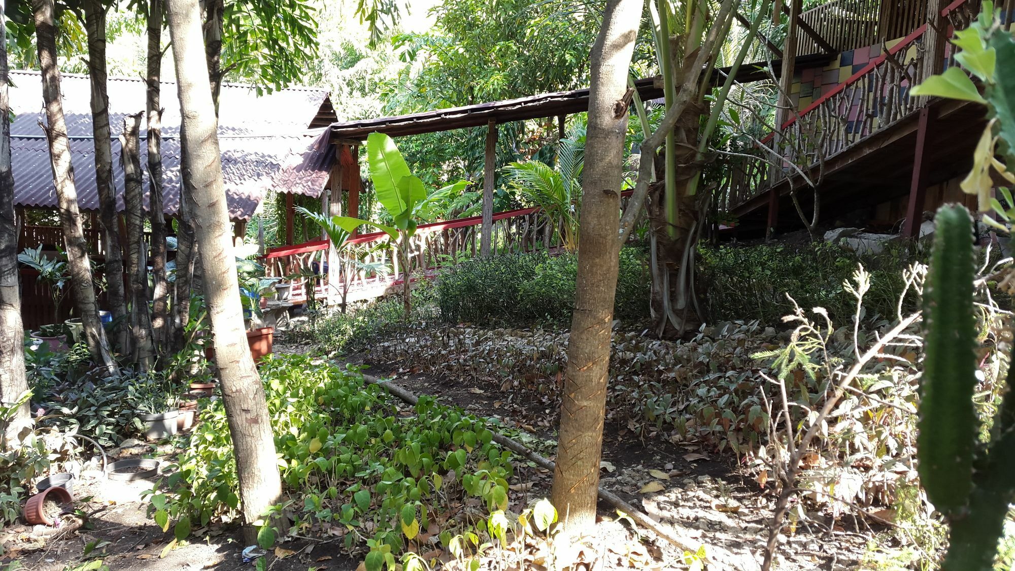 Centro Bajo Hotel & Resto Labuan Bajo Zewnętrze zdjęcie