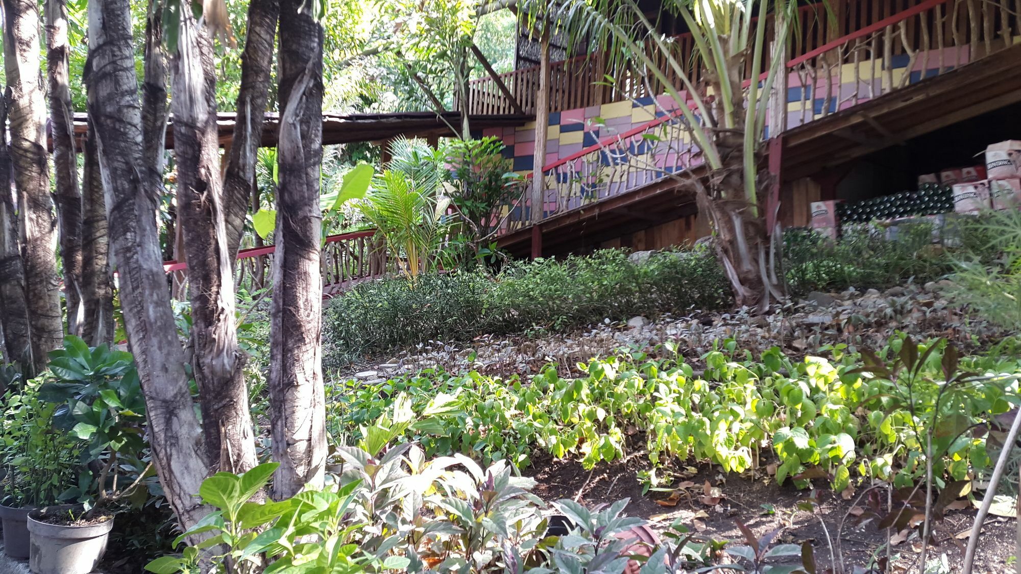 Centro Bajo Hotel & Resto Labuan Bajo Zewnętrze zdjęcie