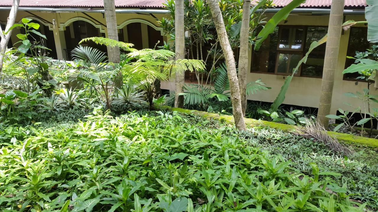 Centro Bajo Hotel & Resto Labuan Bajo Pokój zdjęcie